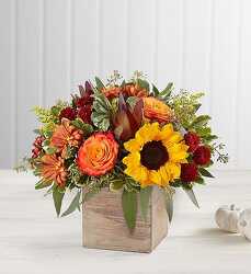 Harvest Glow Centerpiece Davenport Florist - Same Day Flower Delivery - Flower Power 